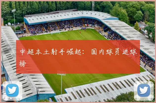中超本土射手崛起：国内球员进球榜
