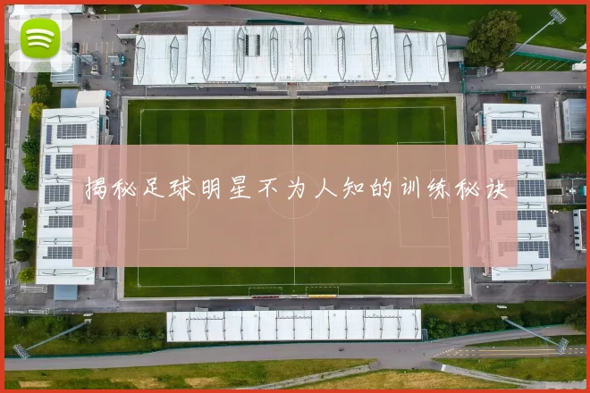 揭秘足球明星不为人知的训练秘诀