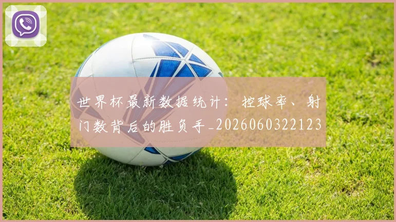 世界杯最新数据统计：控球率、射门数背后的胜负手_20260603221230