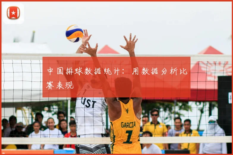 中国排球数据统计：用数据分析比赛表现
