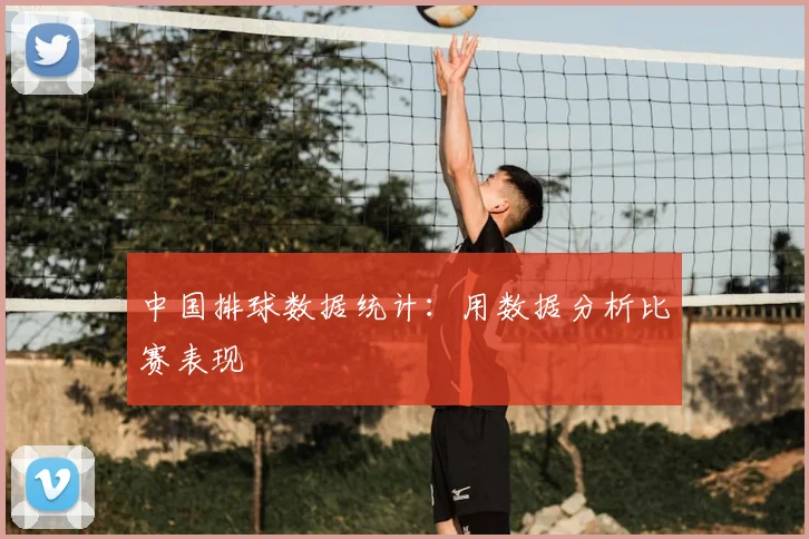 中国排球数据统计：用数据分析比赛表现